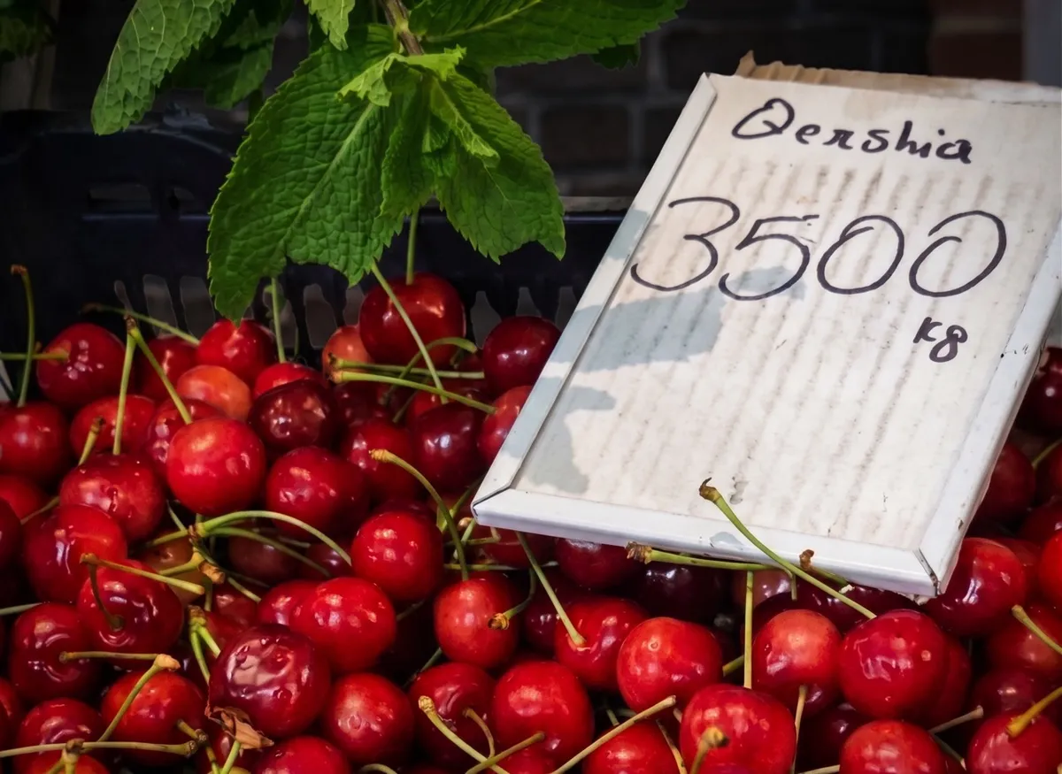 Rritet sërish nafta: Shkon në 2 qershi/litër