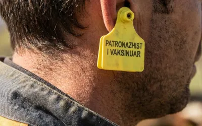 Nis fushata për vaksinimin dhe adoptimin e patronazhistëve të rrugës