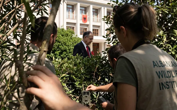 Besohej si specie e zhdukur / Presidenti i Republikës rishfaqet në natyrë
