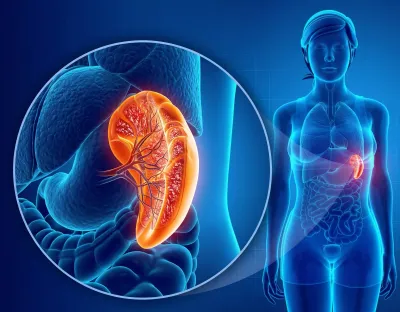 Shkeli kontratën për të drejtat e shpretkës / Aktorja hedh në gjyq ministren