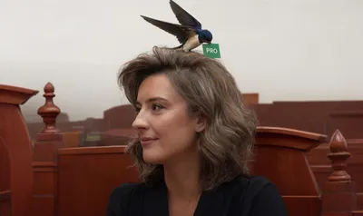 Dallëndyshja në flokët e Zegjine Çaushit voton pro Ministres së re të Shëndetësisë